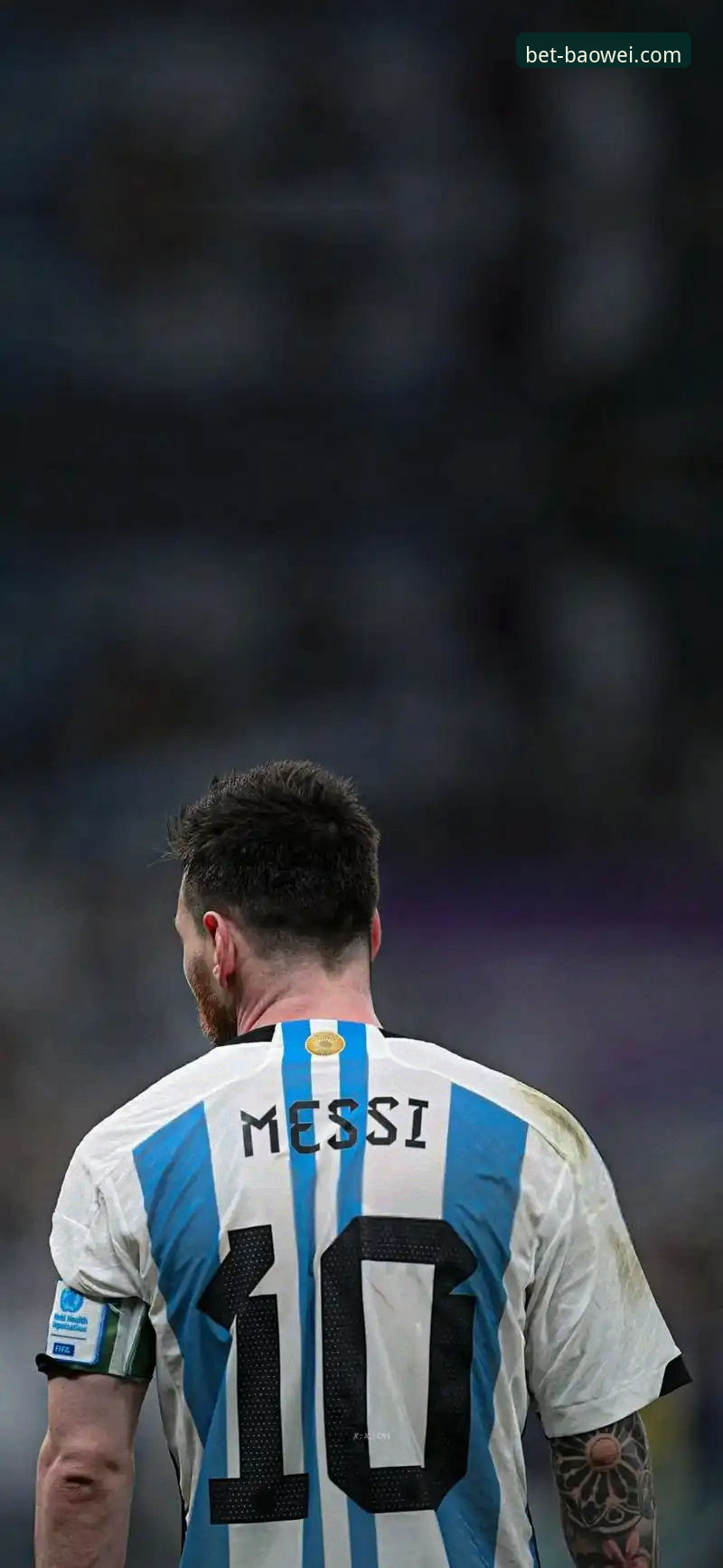 如何通过宝威体育APP深度解析阿根廷队世界杯前重大伤病事件